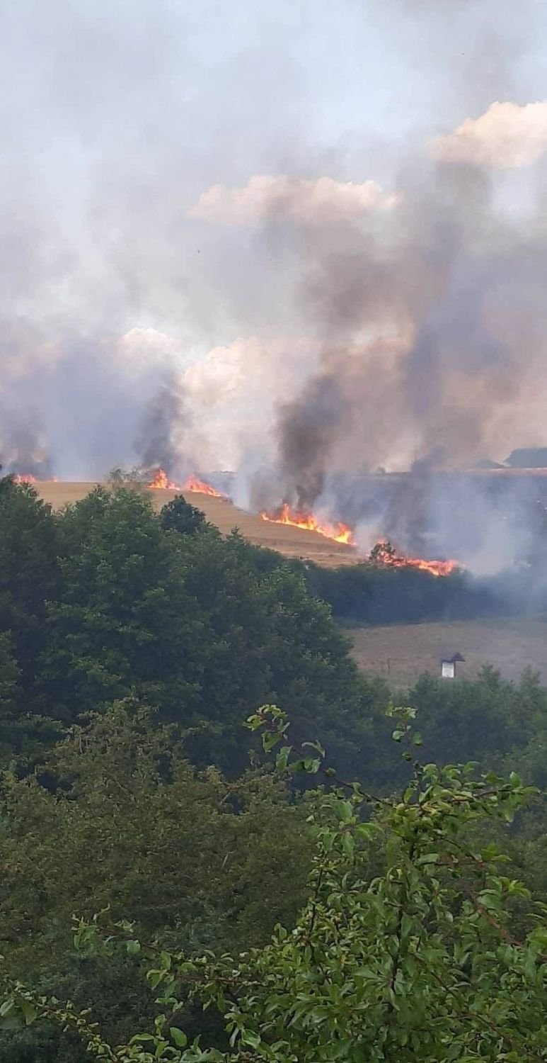 10 hectares ravagés par les flammes entre Diemeringen et Waldhambach 