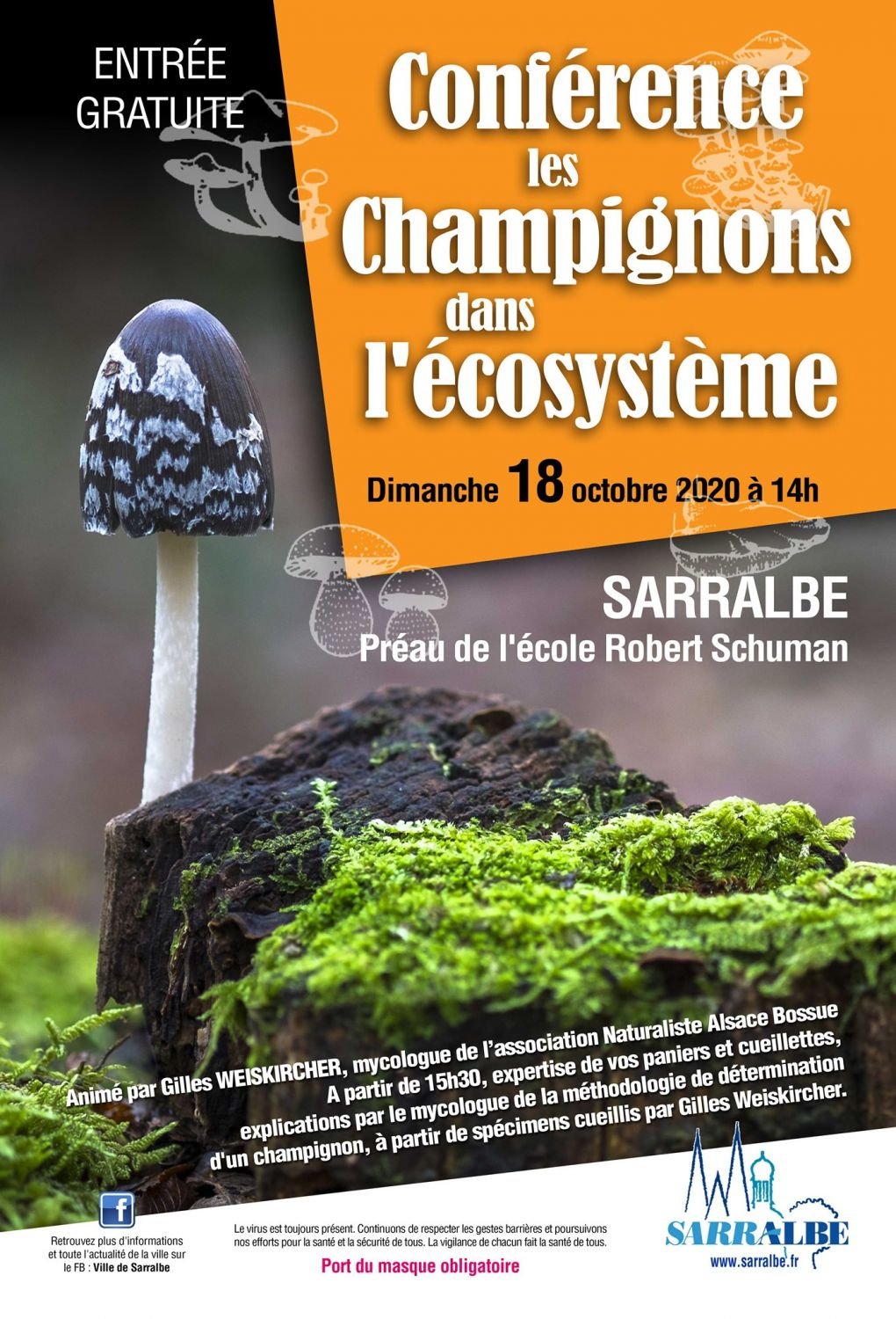 Sarralbe : Un mycologue vous raconte le rôle des champignons