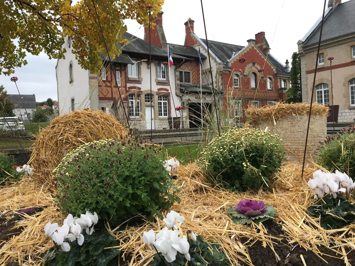 Villes et villages fleuris : deux fleurs d'un coup pour Rémelfing, ''une fierté'' pour le maire