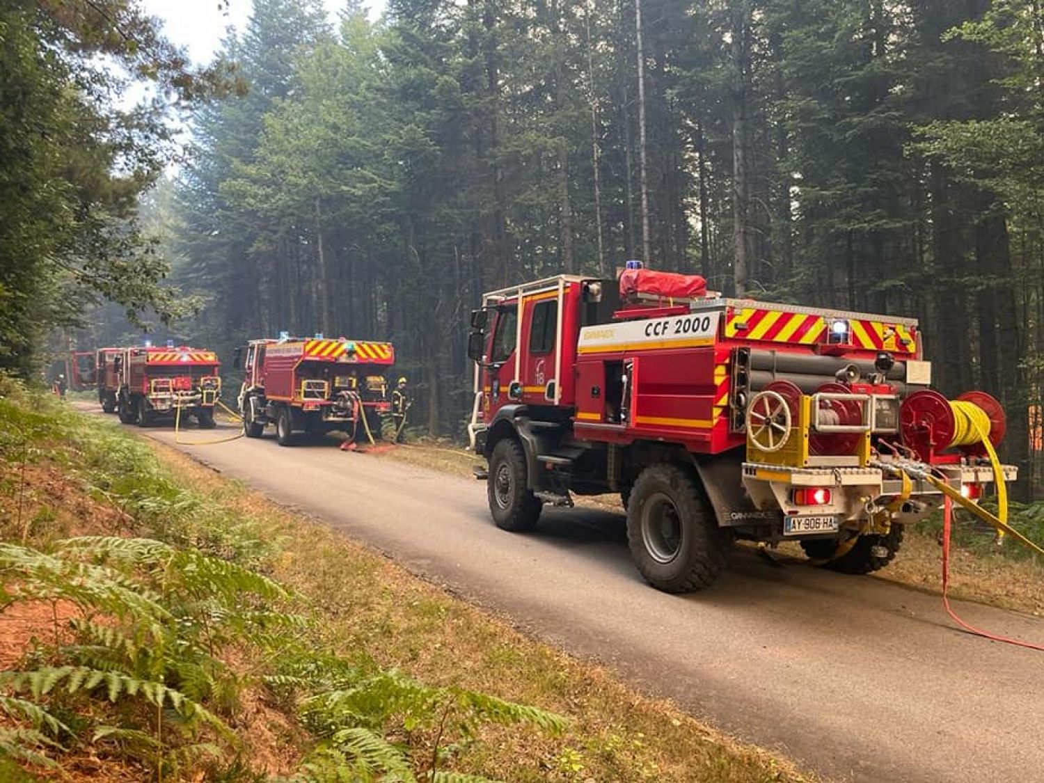 Le pire incendie depuis plus de 20 ans est à présent fixé dans les Vosges 