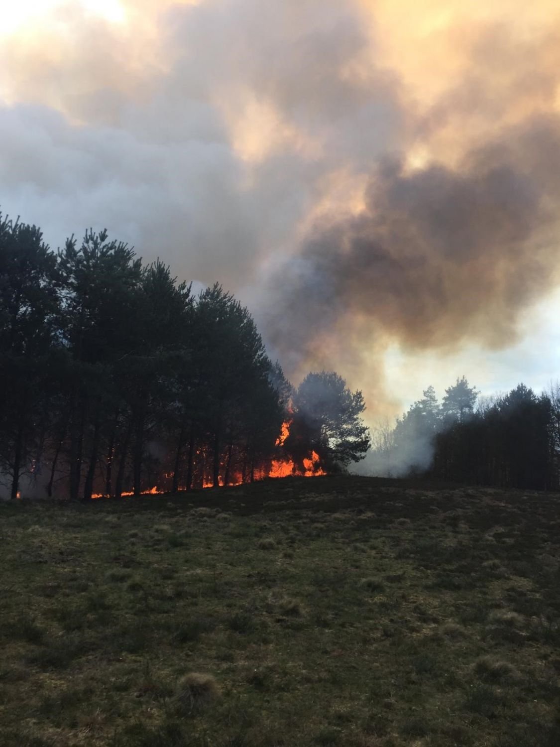 5 hectares partent en fumée à Bitche camp