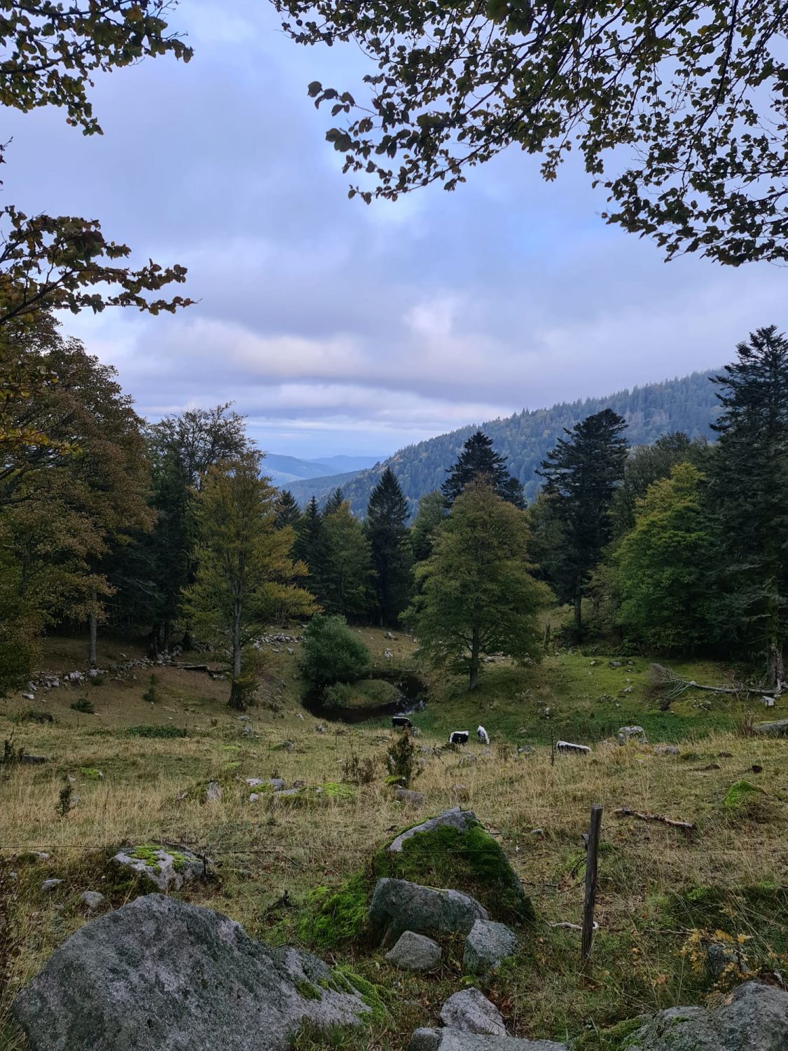 Bon plan: le spectaculaire Sentier des Roches dans les Vosges