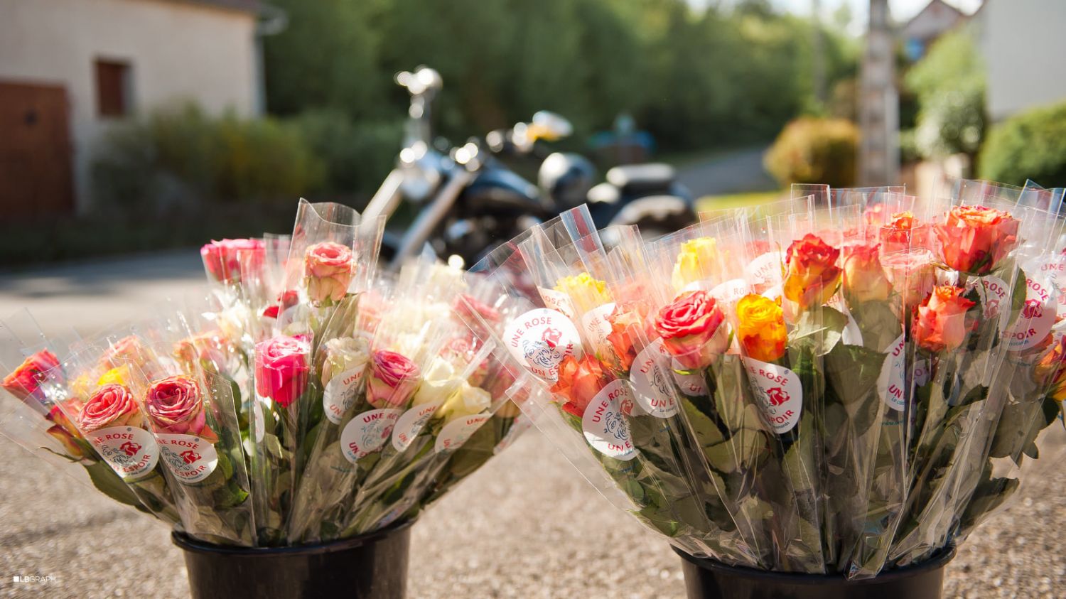 Pourquoi il est important de donner lors de l'opération ''Une rose, un espoir'' ?