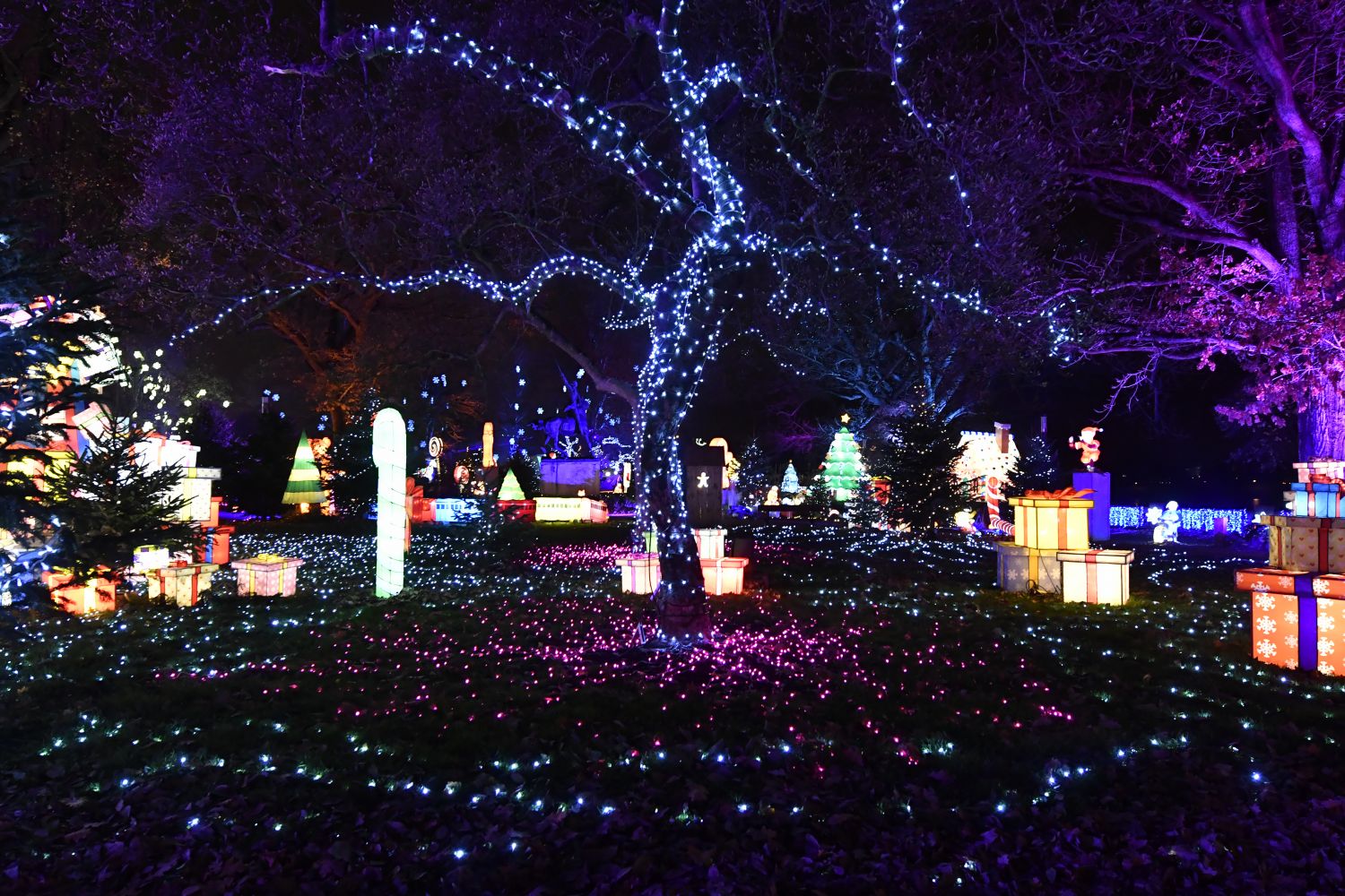 La féérie de Noël arrive dans la région ce week-end