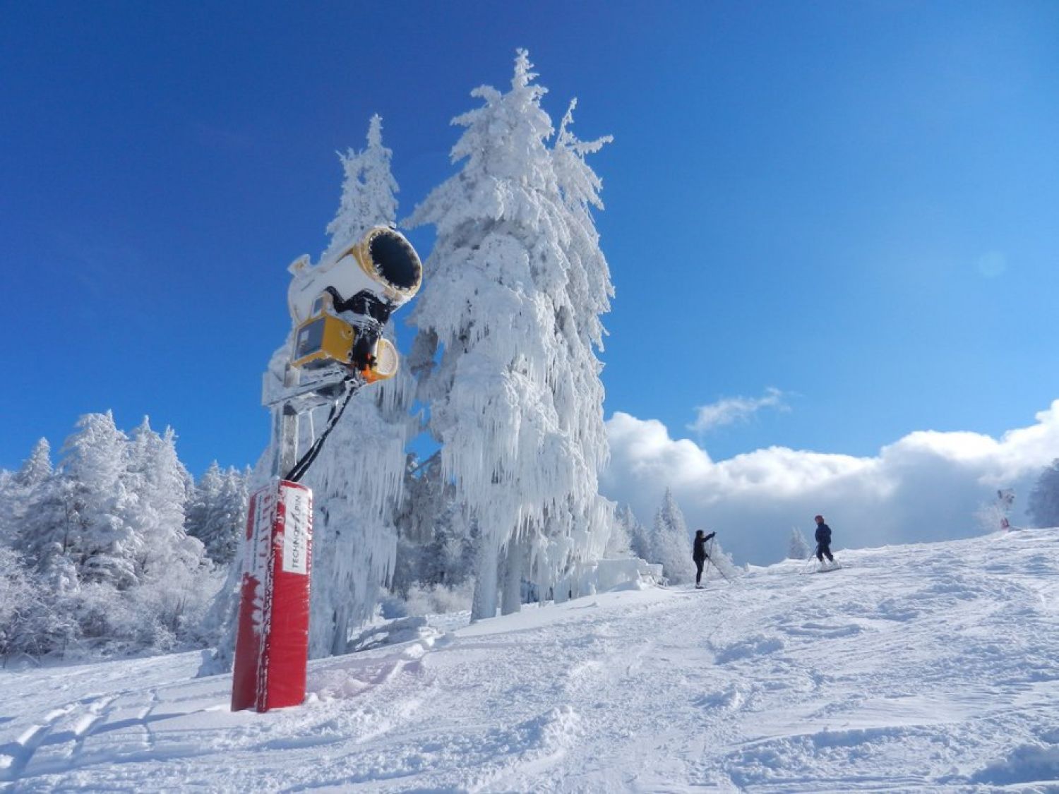 Bas-Rhin : Le domaine du Champ du Feu accueille ses premiers skieurs 