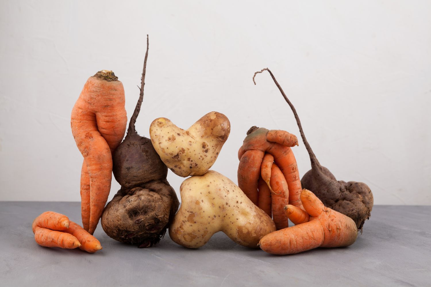Saint-Avold : bientôt une ''conserverie solidaire'' pour éviter le gaspillage des fruits et légumes