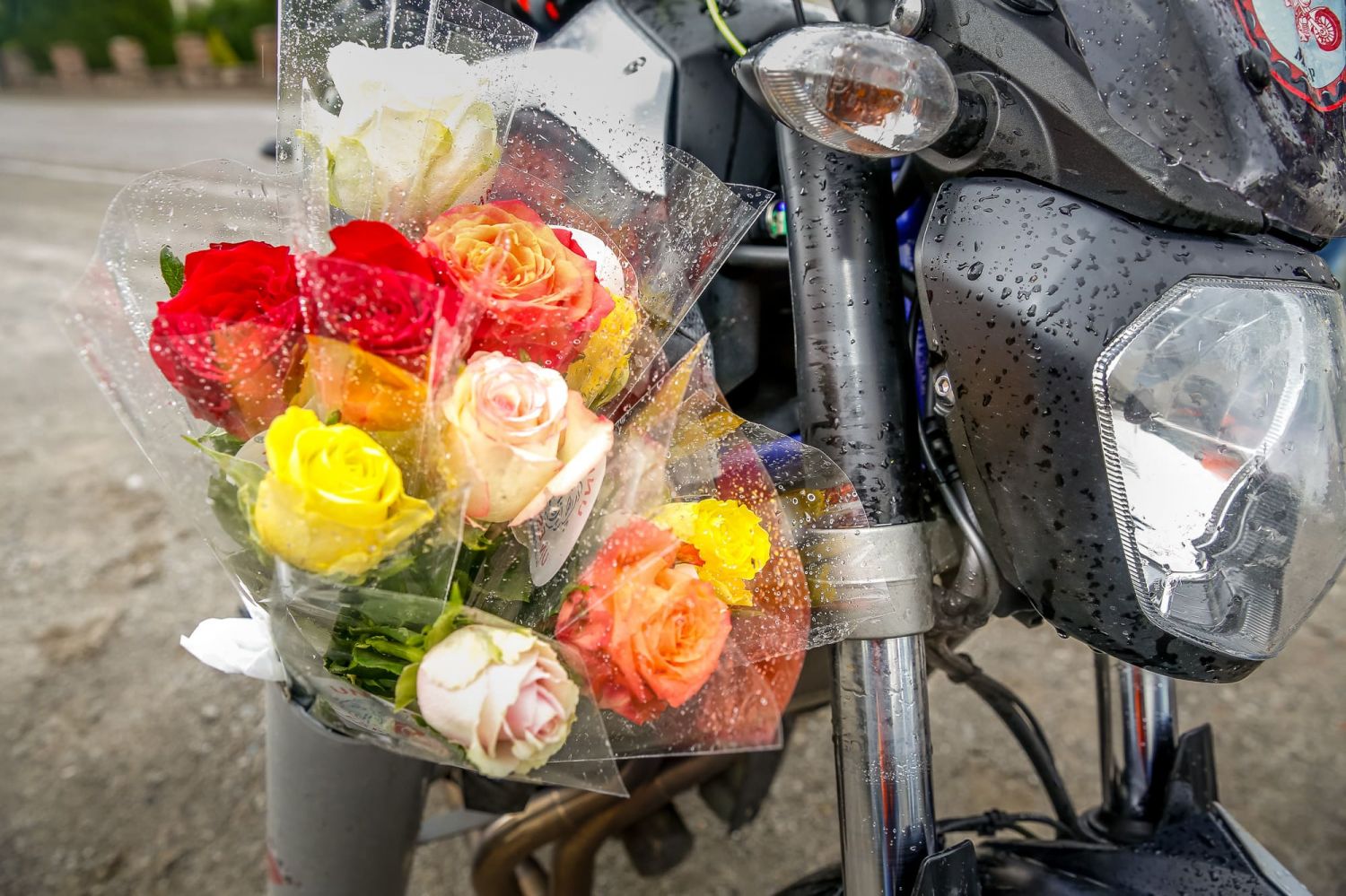 Une rose un espoir secteur Woustviller : 200 motos et de nombreux bénévoles ''dans les starting-blocks''