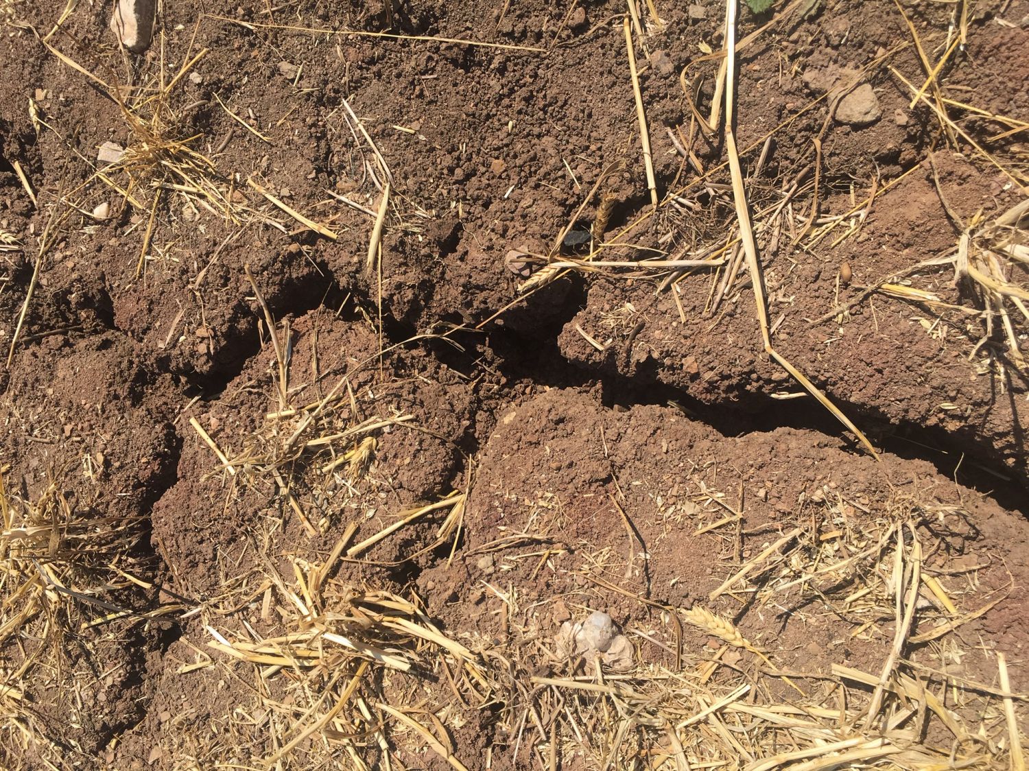 Sécheresse : la situation devient ''critique'' pour les agriculteurs mosellans