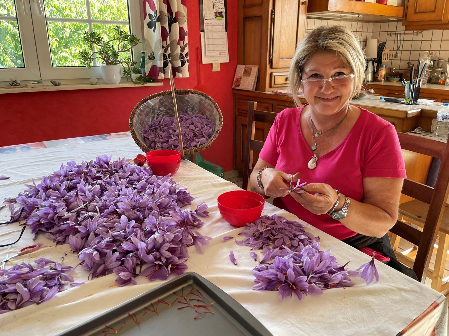 Une saison exceptionnelle s'annonce pour la culture du safran chez Betty Losson