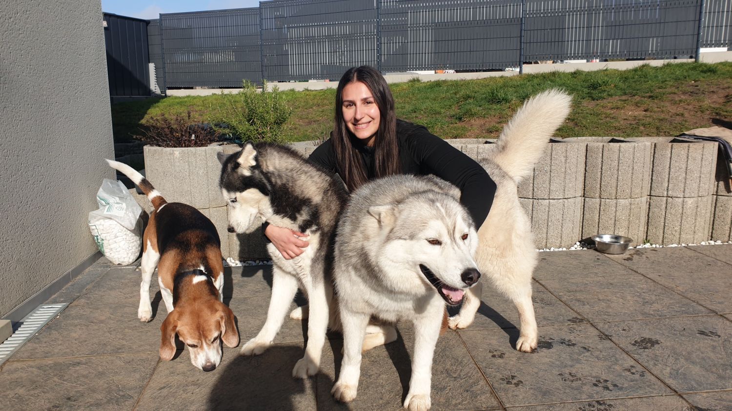 Passionnée d’animaux, Alexandra Vitello se lance dans le ''dog-sitting''