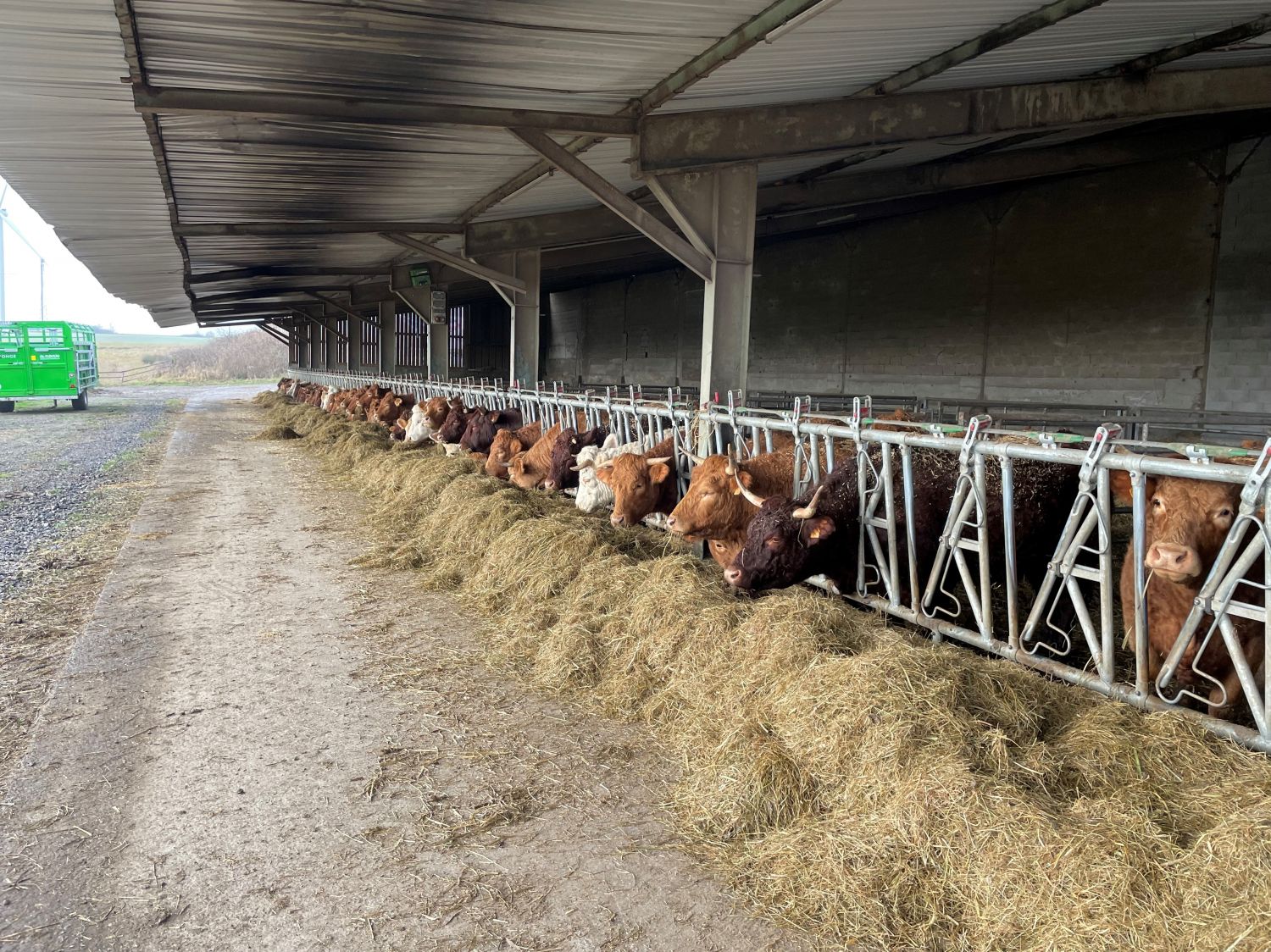 L'agriculture bio en danger dans le Bas-Rhin comme dans le reste de la France