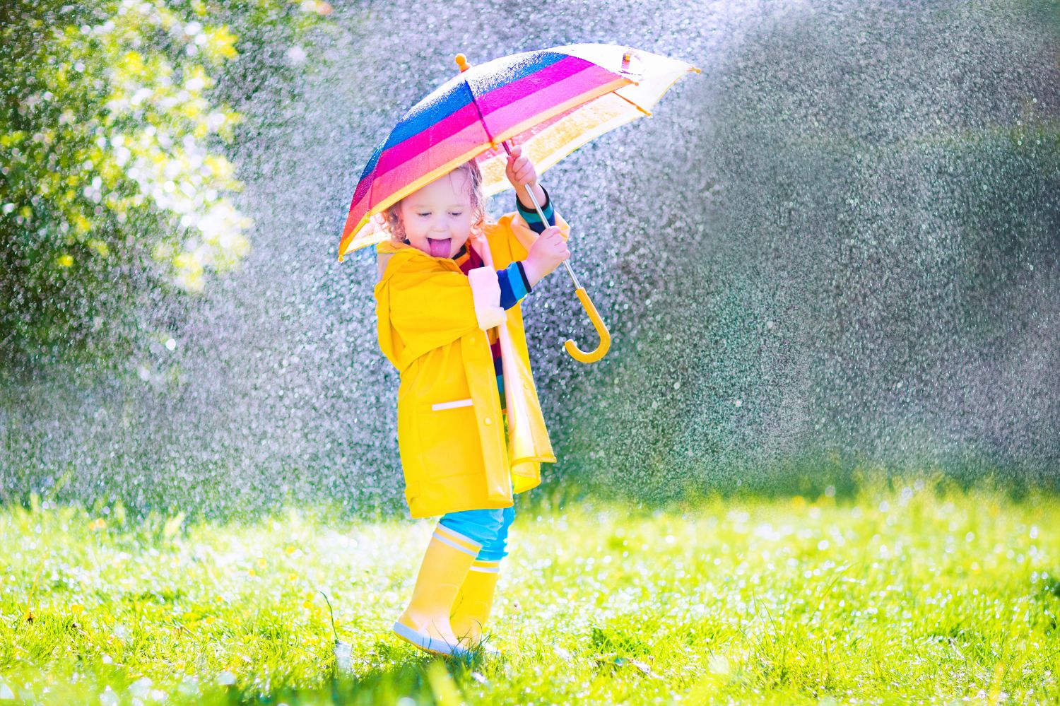 Après deux semaines de pluie, l'été revient mercredi