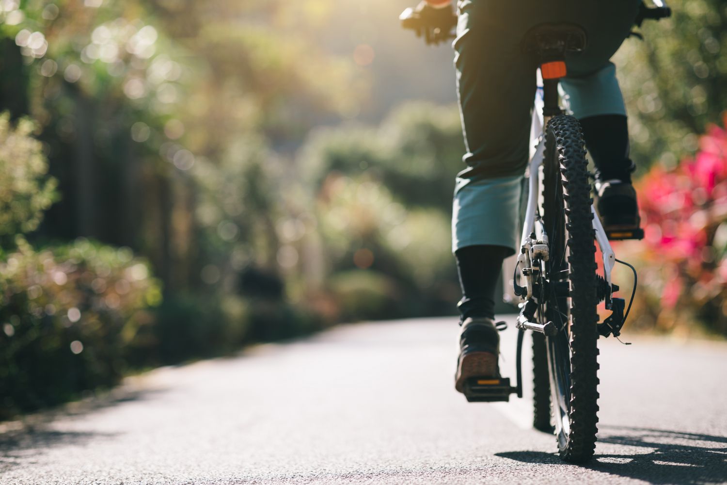 La Communauté de Communes de Sarrebourg lance son ''plan vélo''