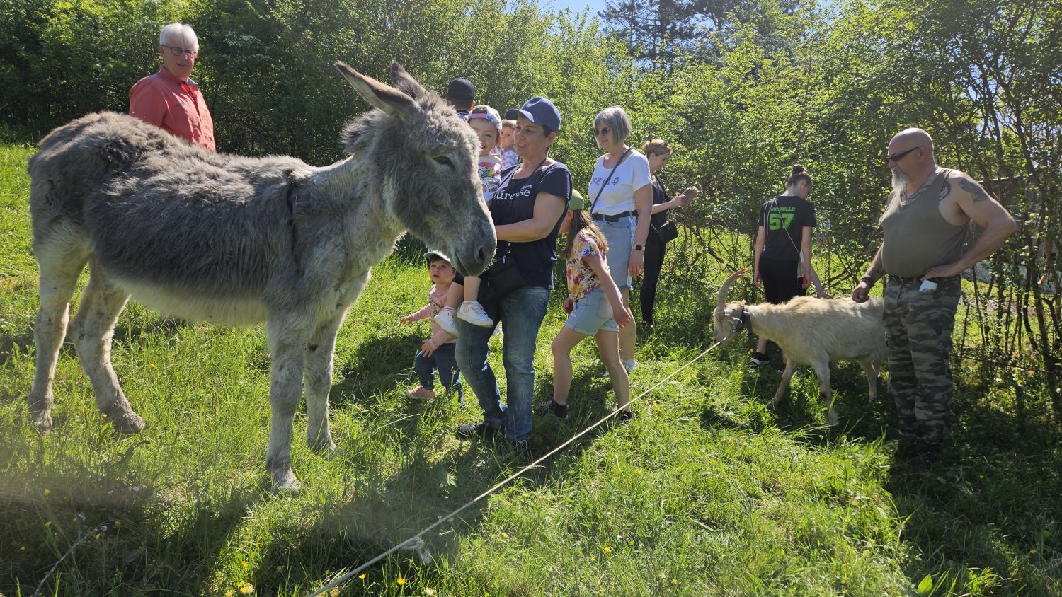 Des chèvres, des poules et un âne prennent place dans la mini-ferme pédagogique