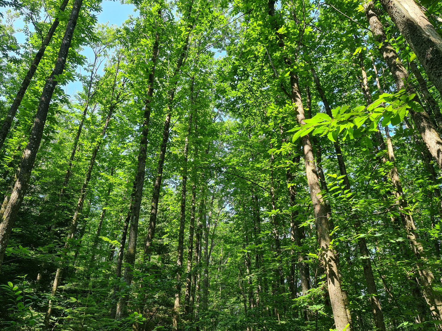 Patrimoine naturel : des sorties gratuites pour découvrir le paysage de l'agglo de Sarreguemines