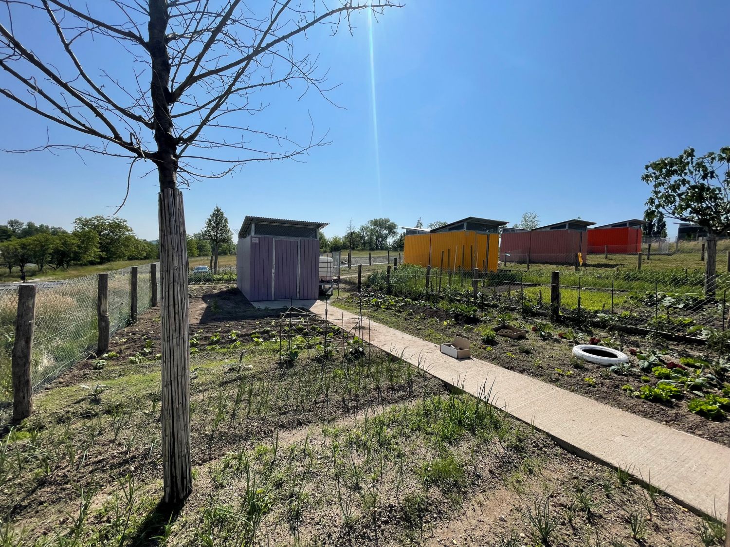 Métamorphose réussie pour les Jardins Ouvriers 1 de Behren-lès-Forbach