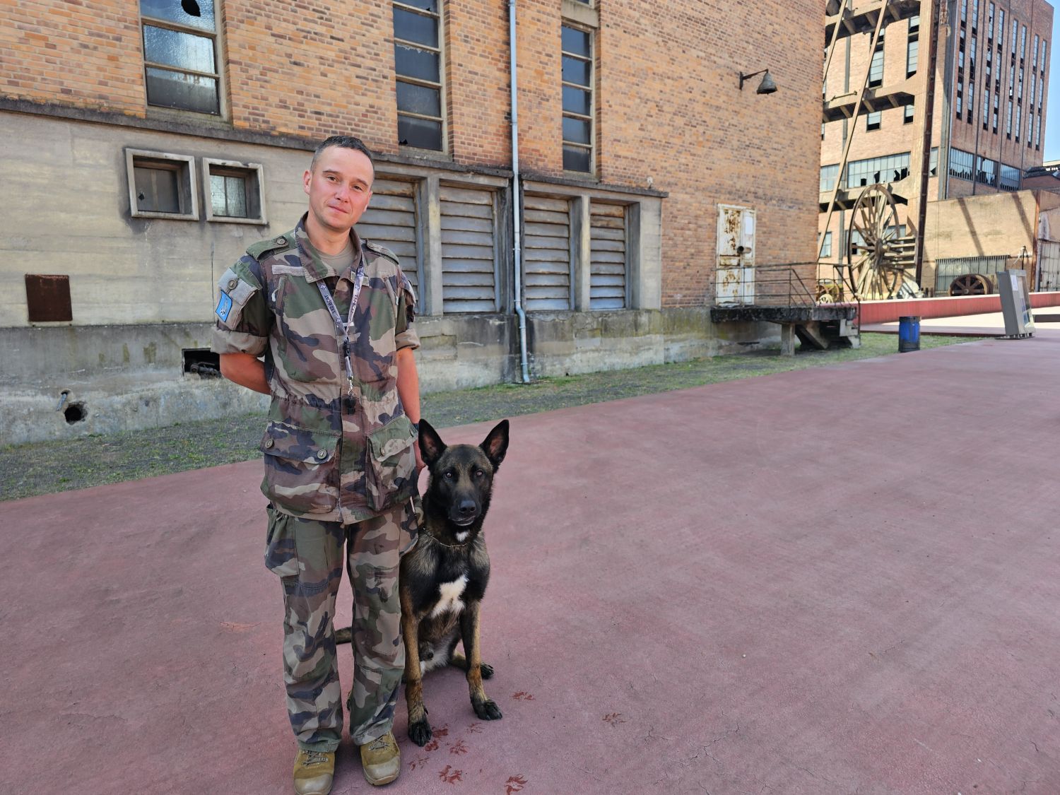 Des équipes cynotechniques de l'armée s'affrontent au parc Explor Wendel