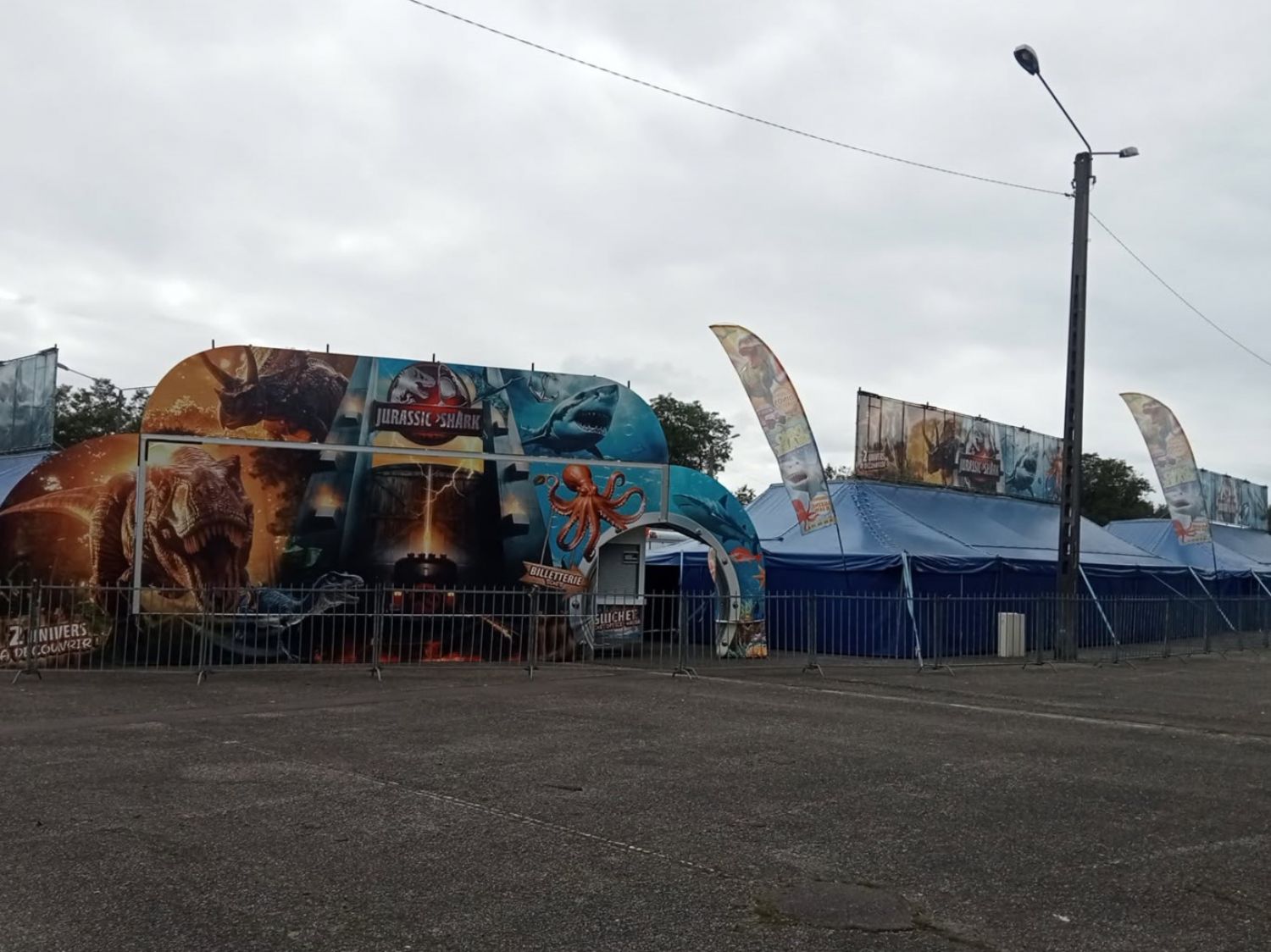 Des requins et des dinosaures débarquent ce week-end