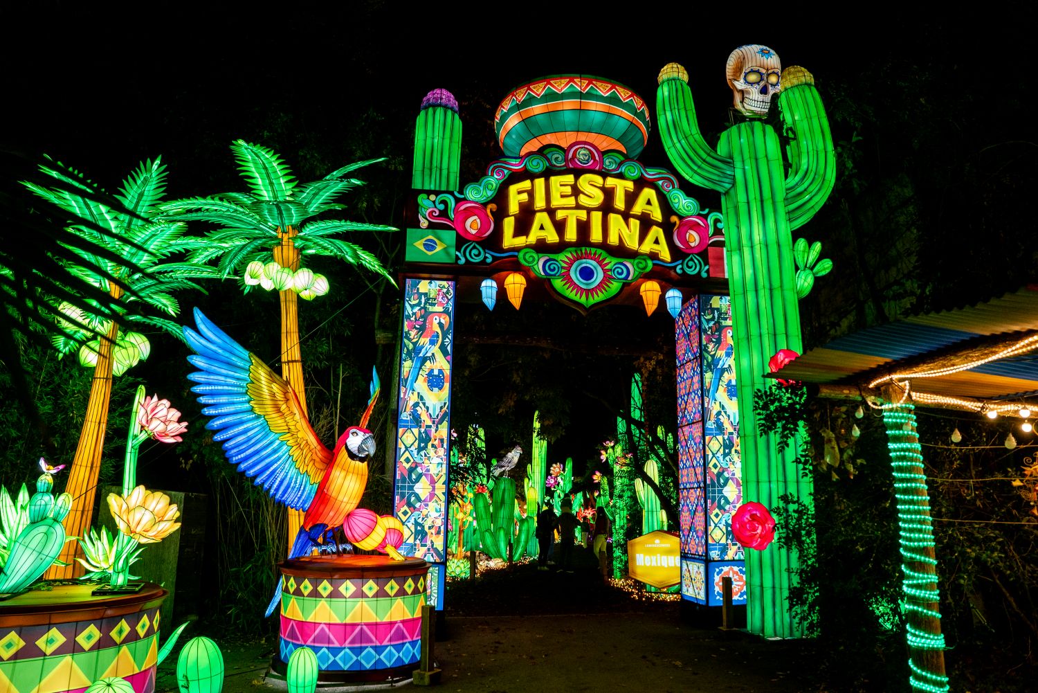 Plus de 10 000 lanternes illuminent le zoo d'Amnéville pour le Festival Luminescences