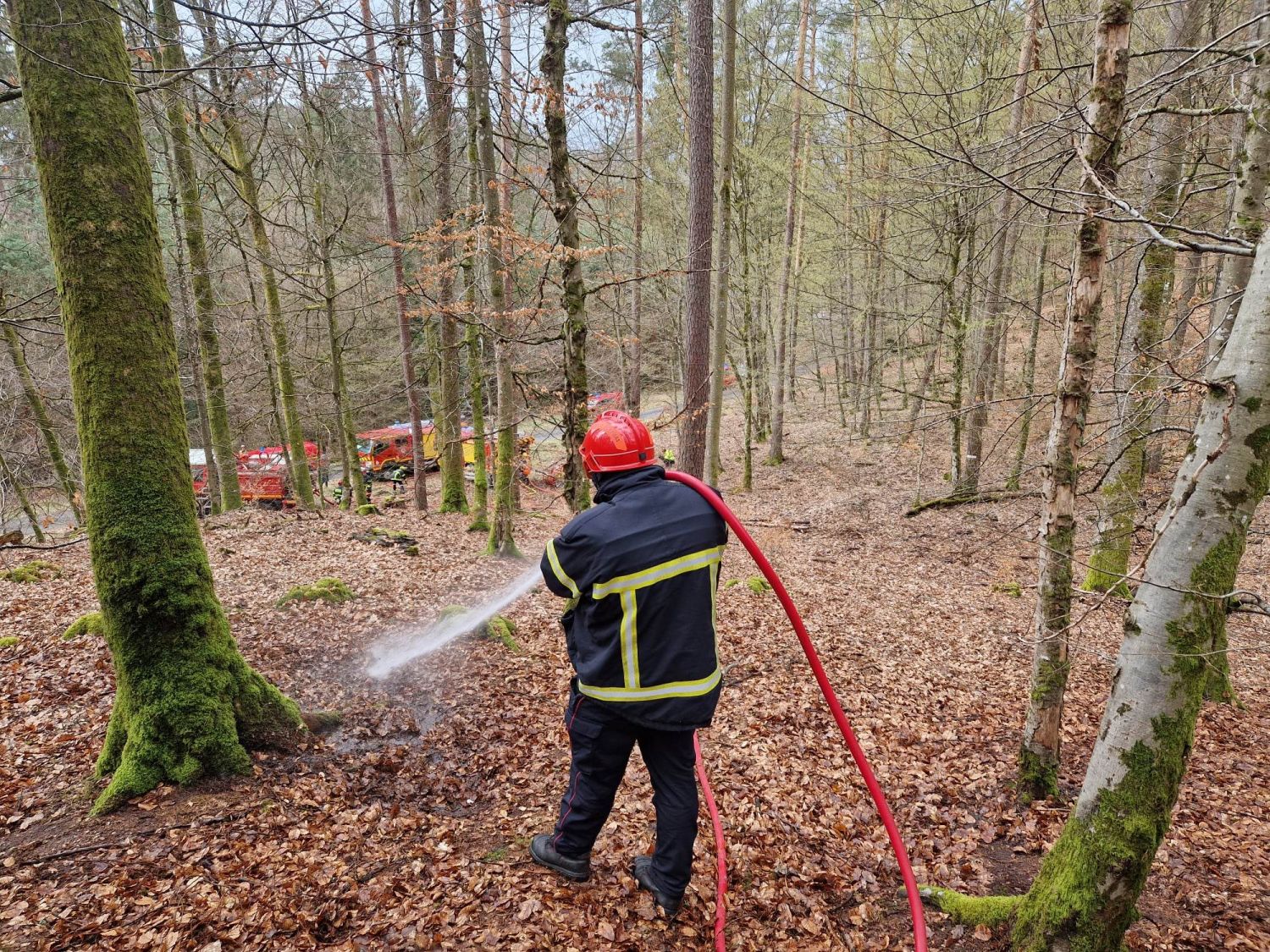 5 feux ont démarré au même moment dans le secteur de Niederbronn-les-BainsÂ