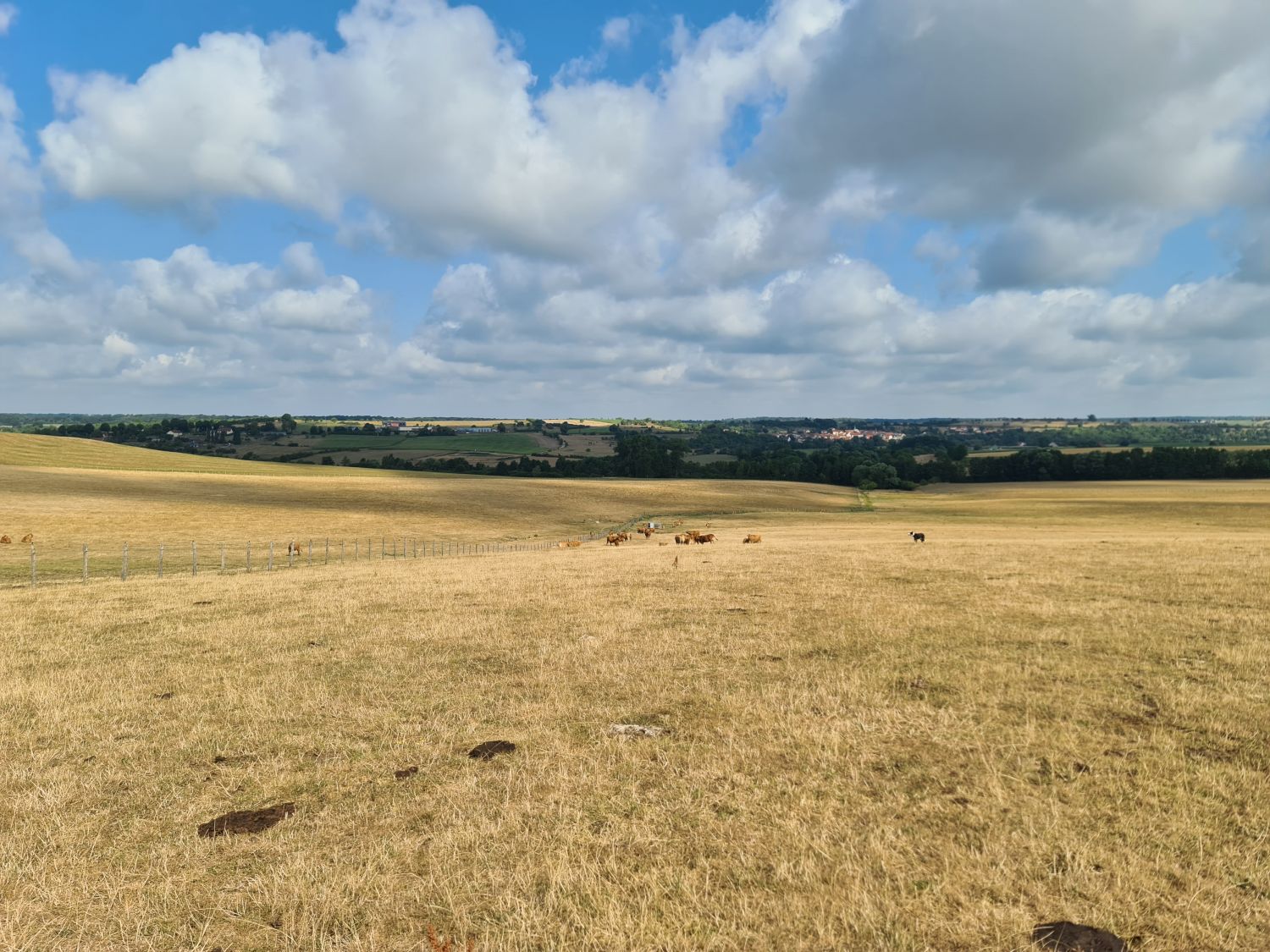 La commune de Farschviller est reconnue en état de catastrophe naturelle en raison de la sécheresse