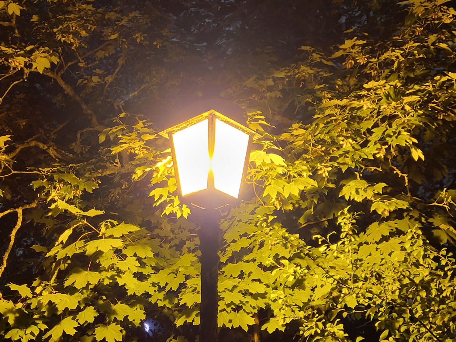 La ville de Sarreguemines fait machine arrière, l’éclairage public restera finalement allumé la nuit