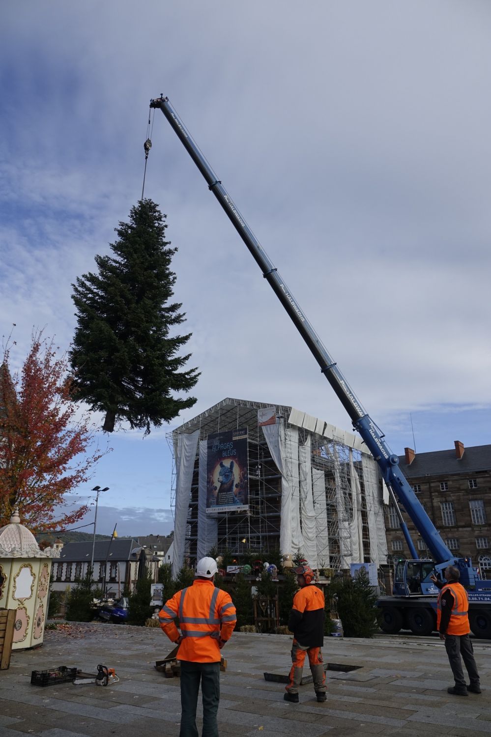Le sapin de Noël est arrivé à SaverneÂ