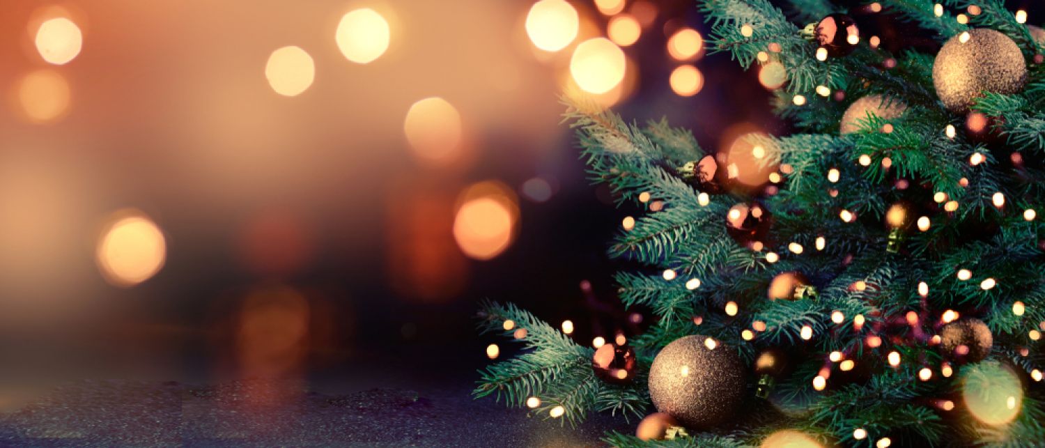 L’agence immobilière Nord Sud Immobilier organise une collecte de sapins de Noël