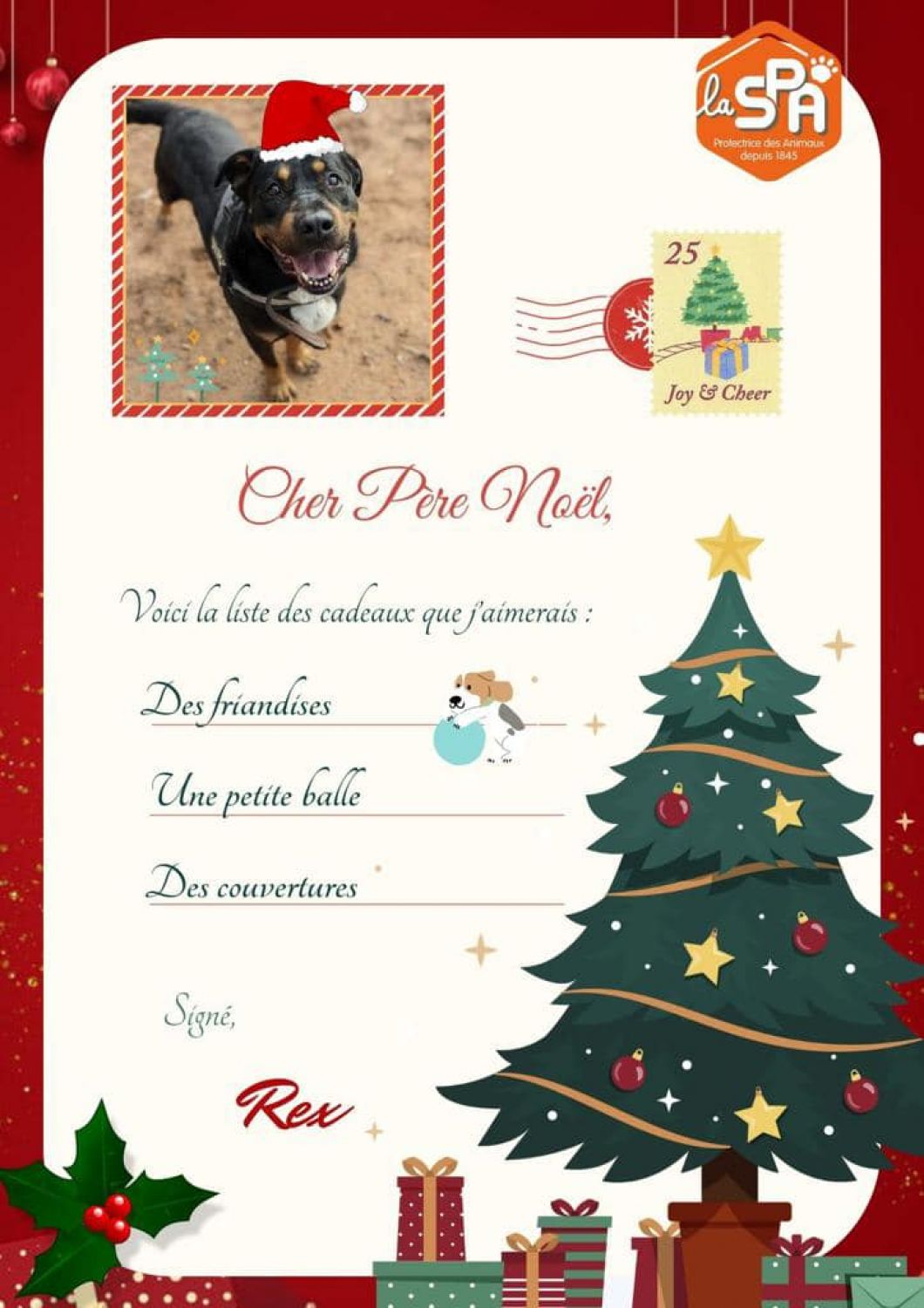 La SPA de Forbach organise ce dimanche le Noël des animaux