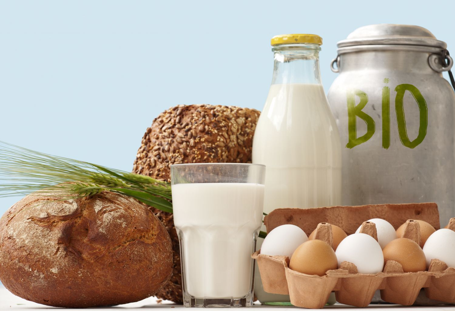 Un nouveau cap pour l'agriculture biologique en Grand Est