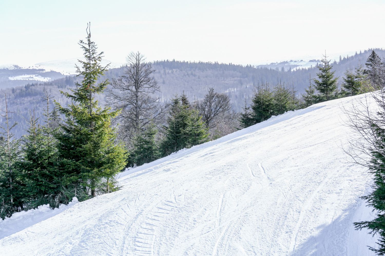 Le retour de la neige sur les crêtes vosgiennes