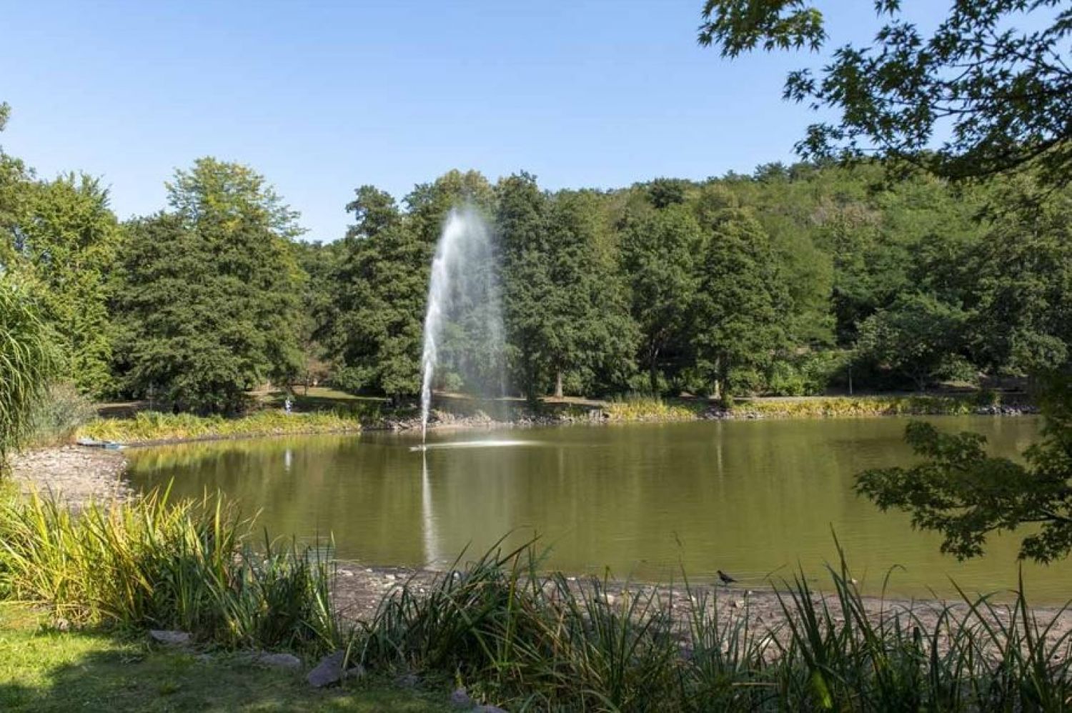 Au parc franco-allemand de Sarrebruck le téléphérique pourrait être bientôt remis en service