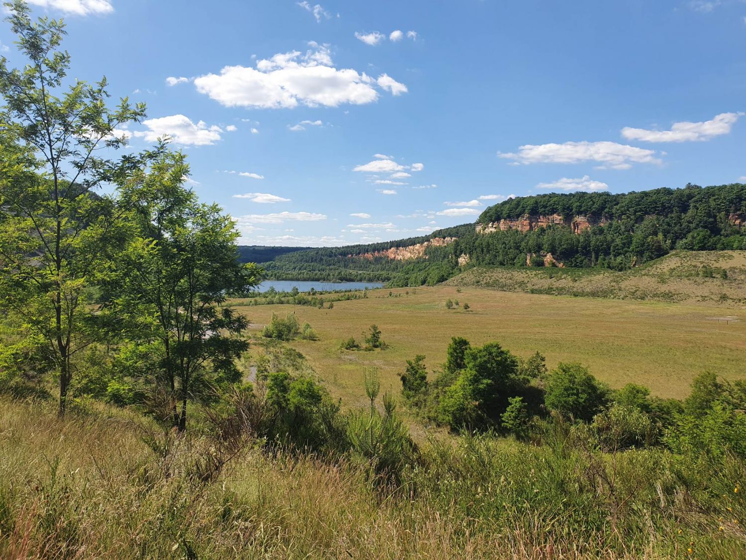 La carrière Barrois de Freyming-Merlebach est votre endroit naturel préféré sur le territoire