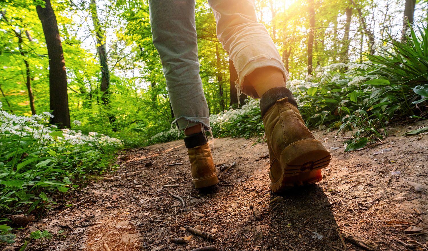 A Saverne, une pétition a été lancée contre la fermeture de routes forestières