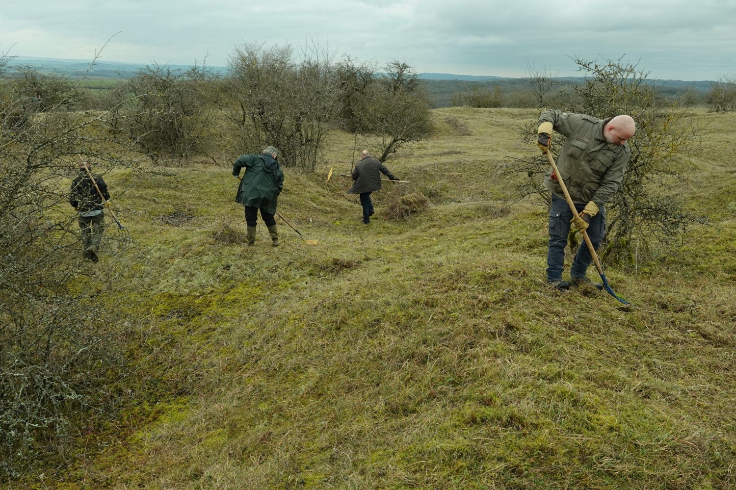 Le Conservatoire d’espaces naturels de Lorraine recherche des bénévoles pour la rentrée