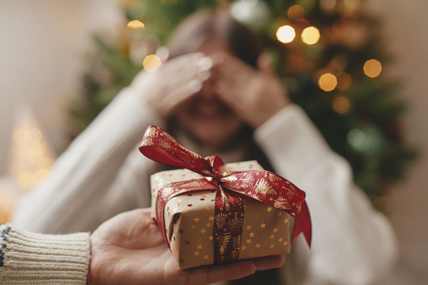 A Saverne, on vous donne des conseils pour un Noël plus écolo