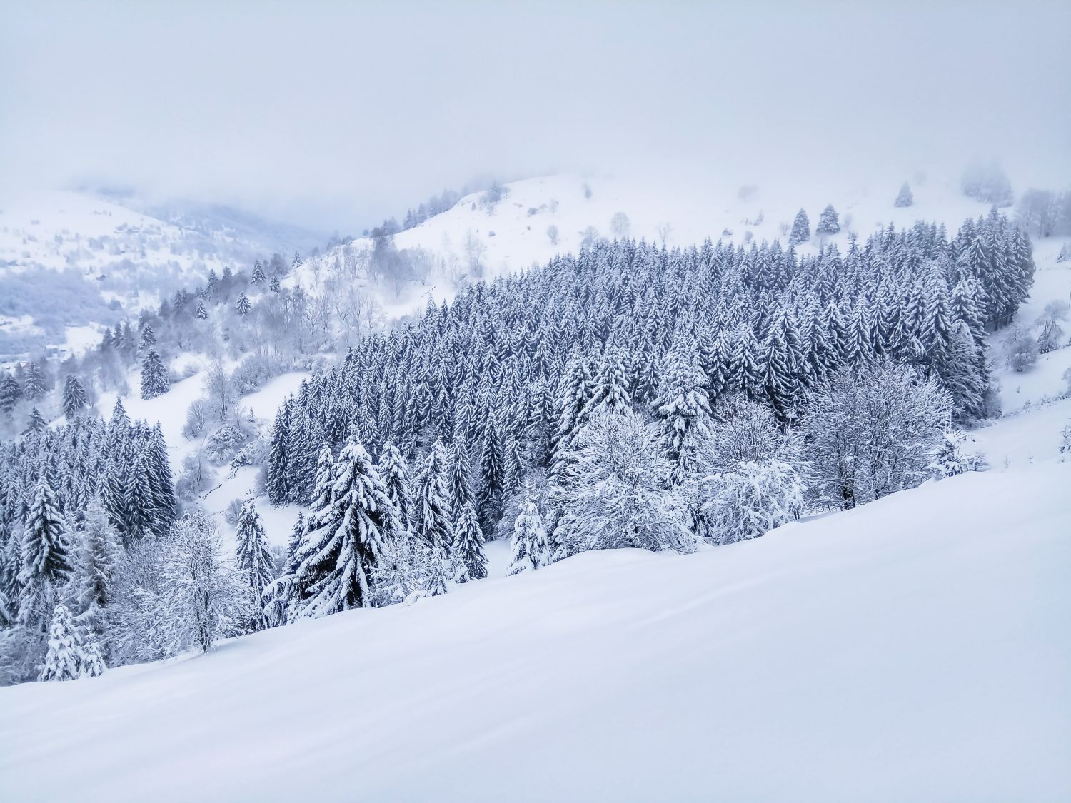 La préfecture du Haut-Rhin alerte face au risque d’avalanche dans le massif des Vosges