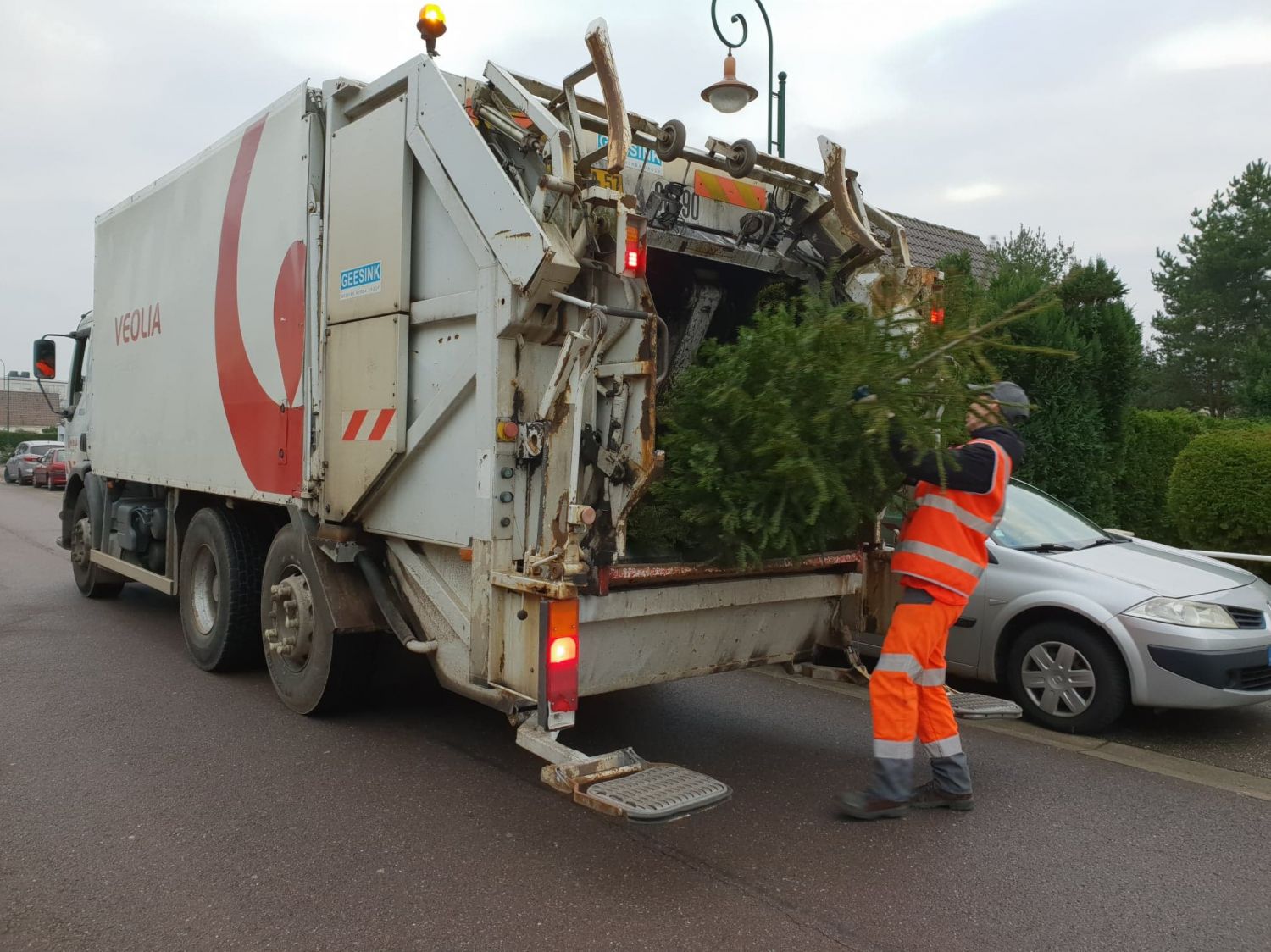 La collecte des sapins de Noël démarre lundi dans la communauté de communes de Freyming-Merlebach