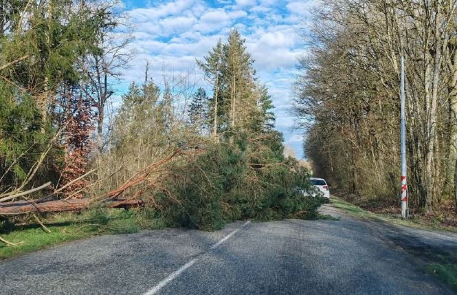 La dépression Floriane a fait des dégâts en Moselle et dans le Bas-Rhin