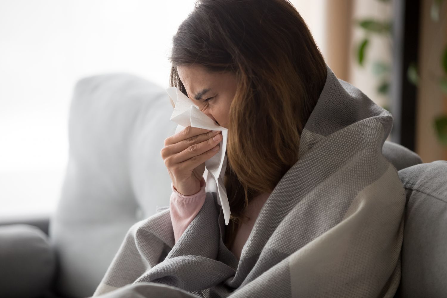 L’épidémie de grippe sévit durement en France et dans la région