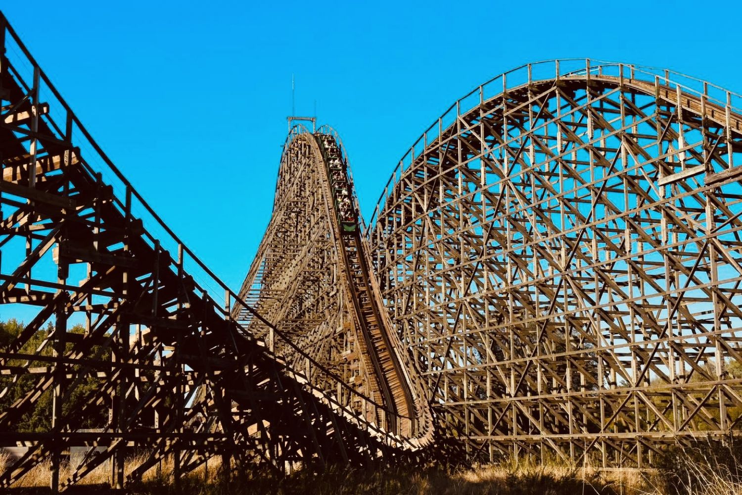 Un job dating est organisé au parc Walygator le 1er février