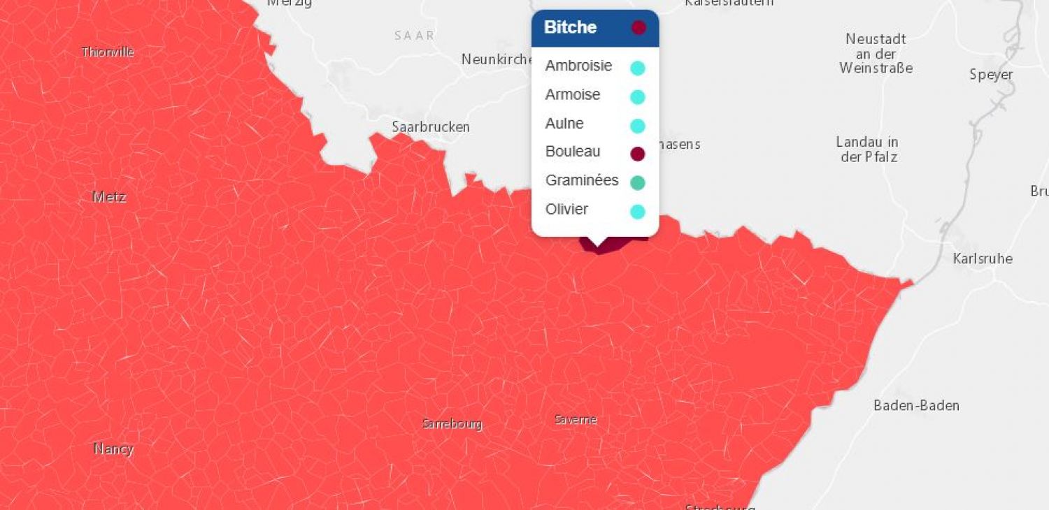 Les pollens sont présents en nombre dans la région