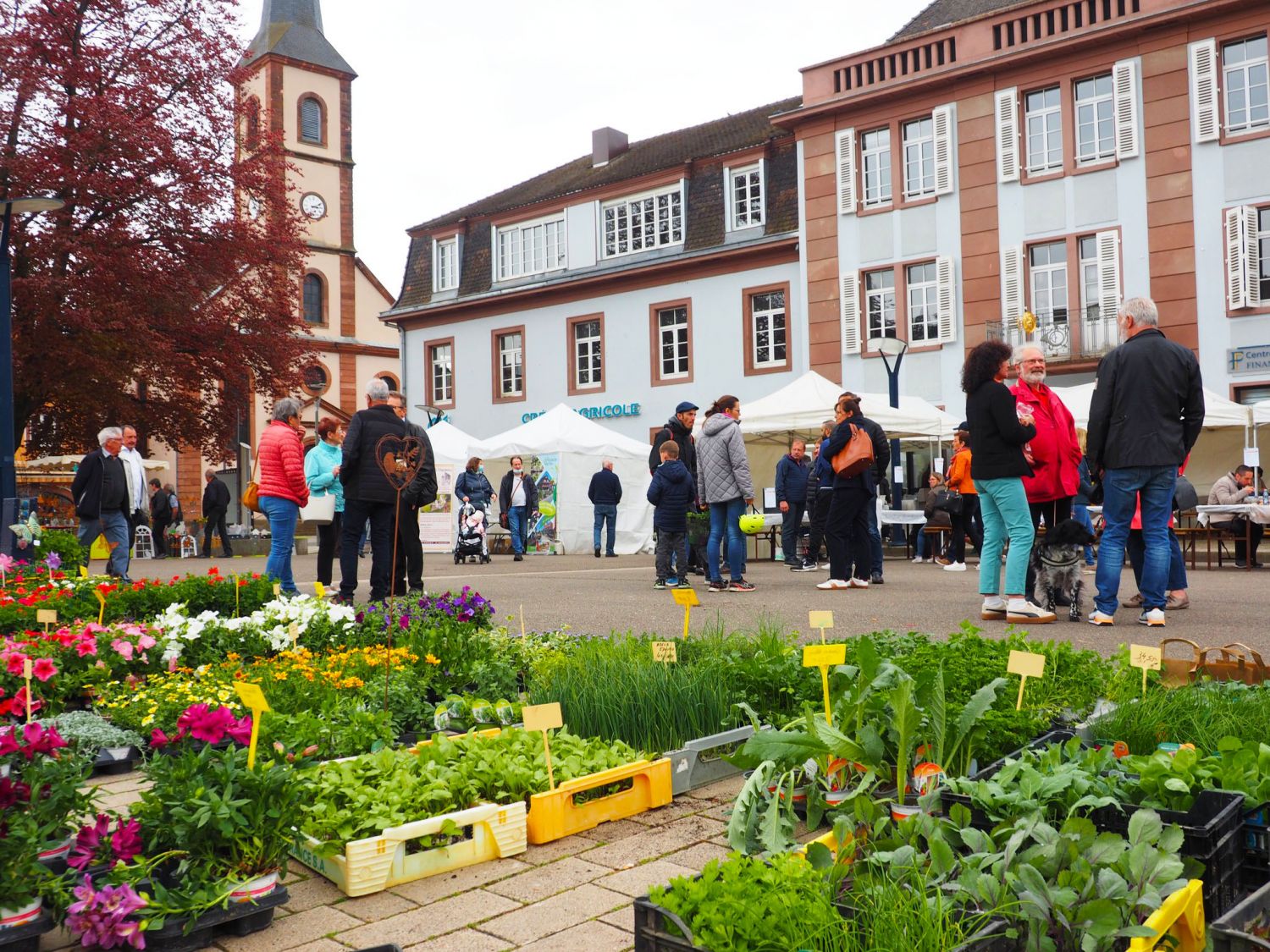 Niederbronn-les-Bains organise sa 4ème édition de la Fête de l’écotourisme ce jeudi
