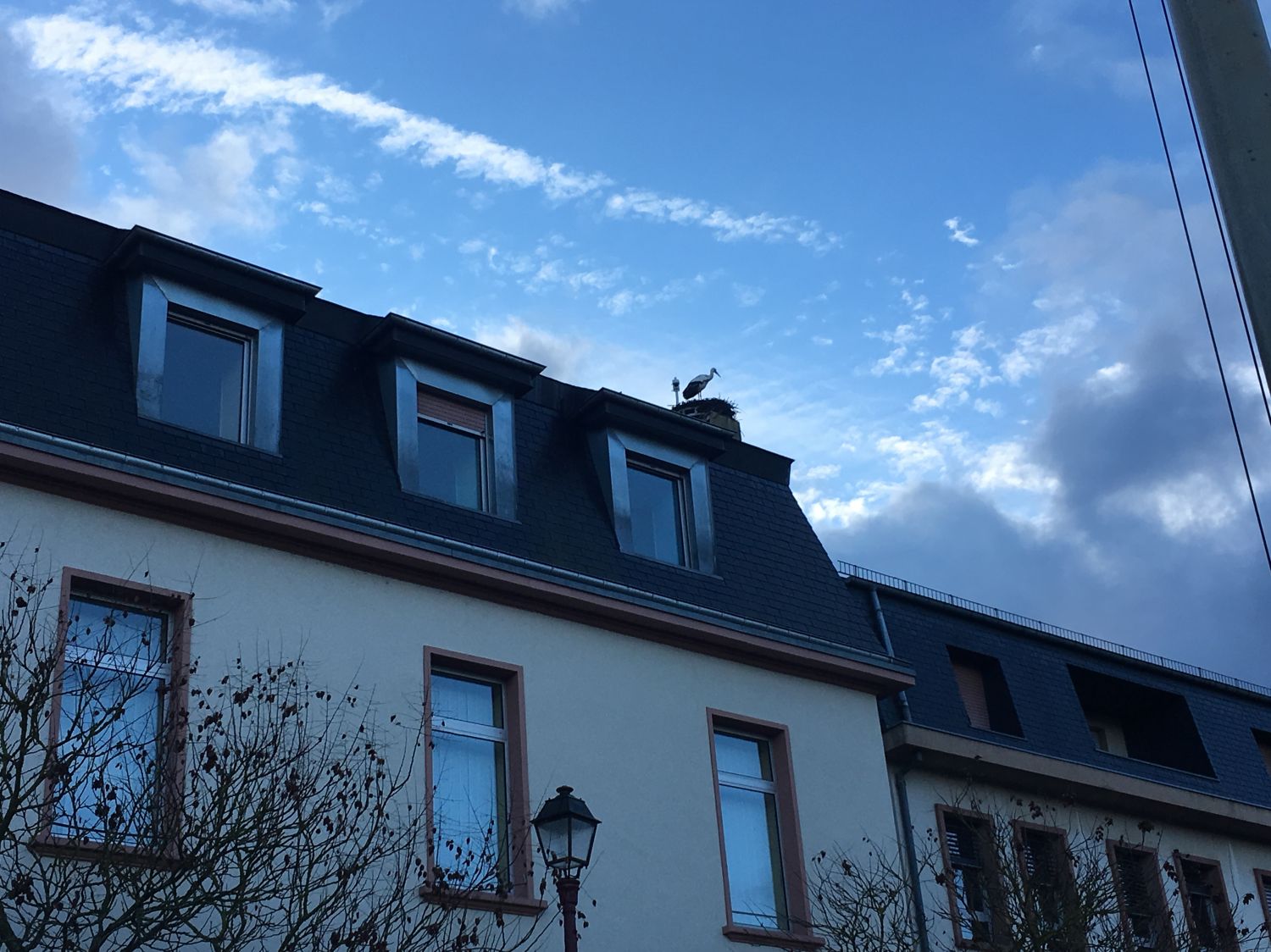 Triste nouvelle dans le nid de Maurice et Mélodie à Sarralbe