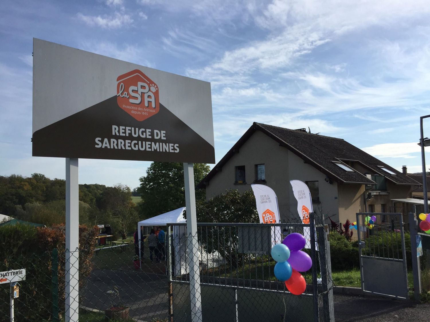 Le refuge SPA de Sarreguemines recherche des bénévoles et des encadrants pour son club jeunes