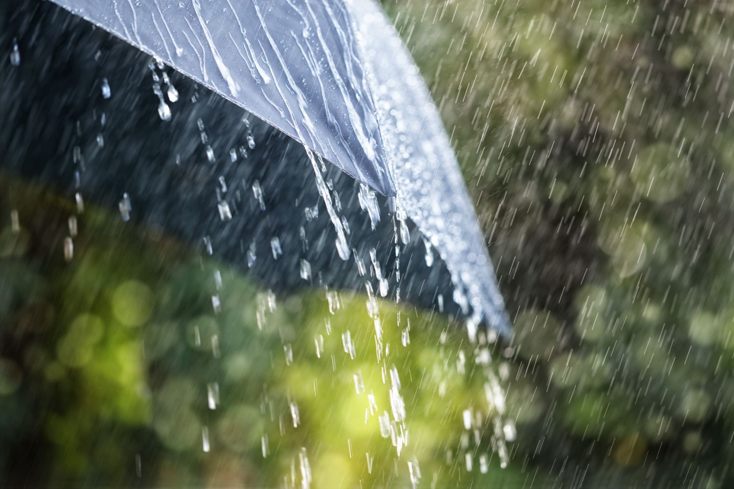 La communauté d’agglomération de Forbach propose des achats groupés de récupérateurs d’eau de pluie