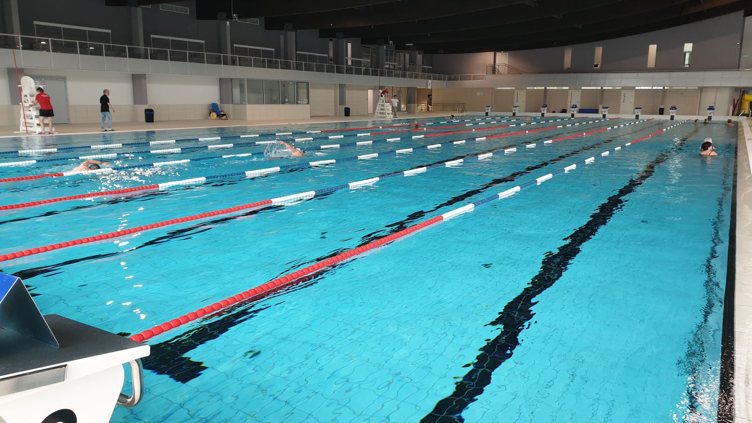 Nager avec des baleines, c’est possible cette semaine à la piscine de Forbach