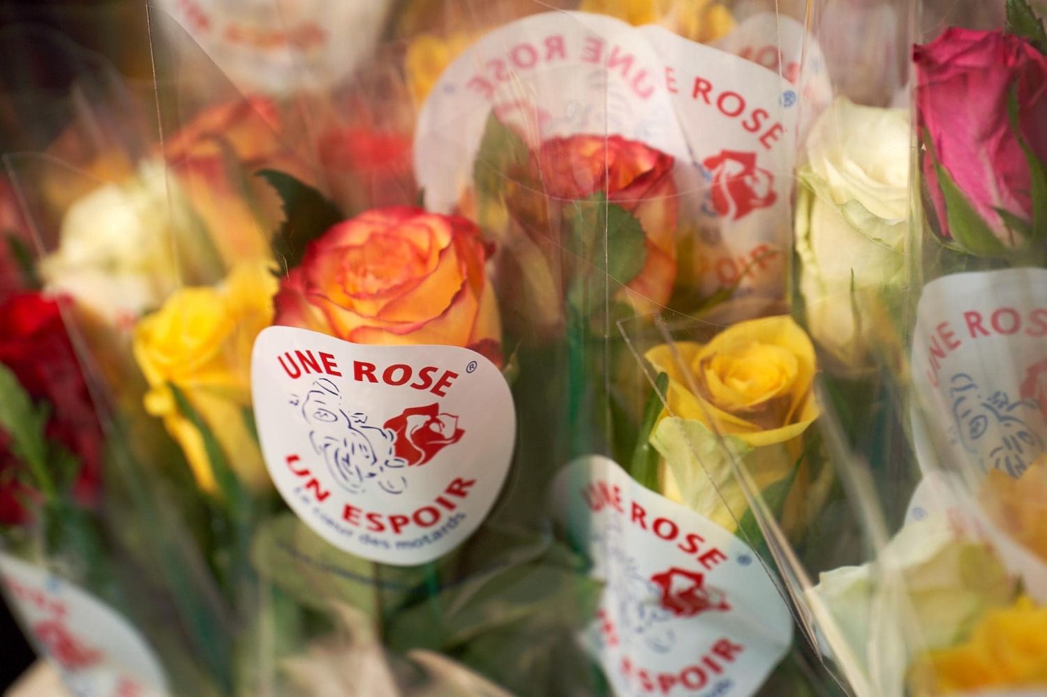 Les remises de chèque se poursuivent après l’opération Une Rose Un Espoir !