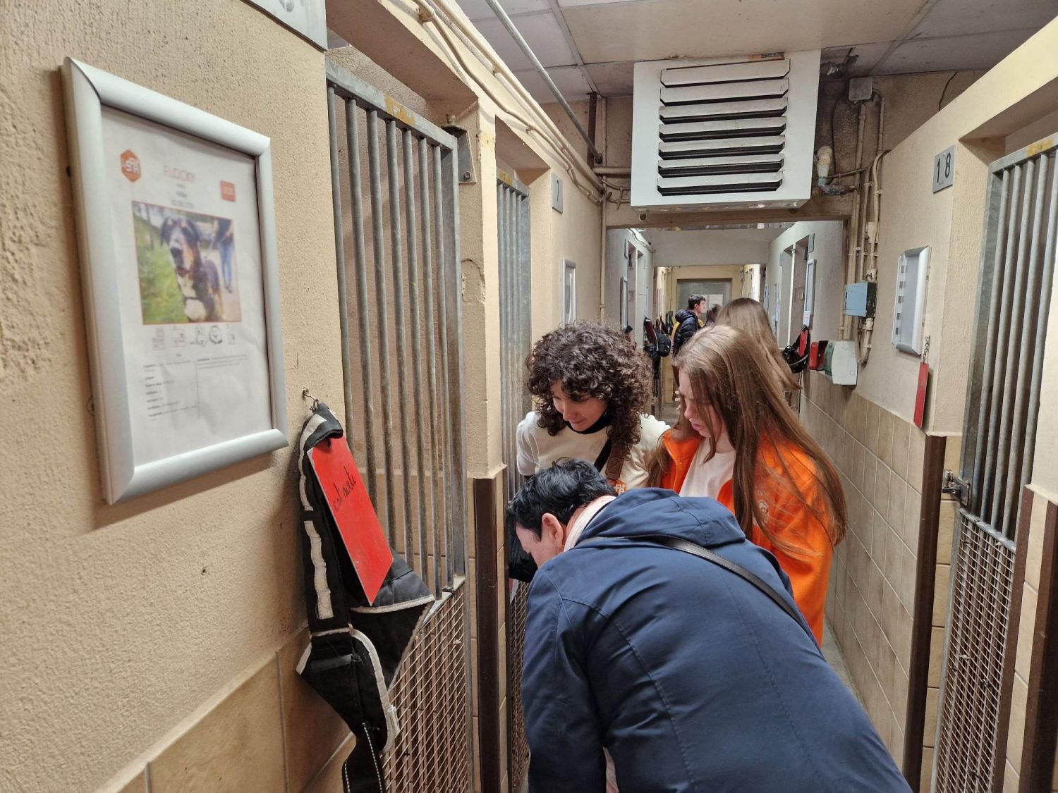 Les SPA du secteur ouvrent leurs portes ce week-end
