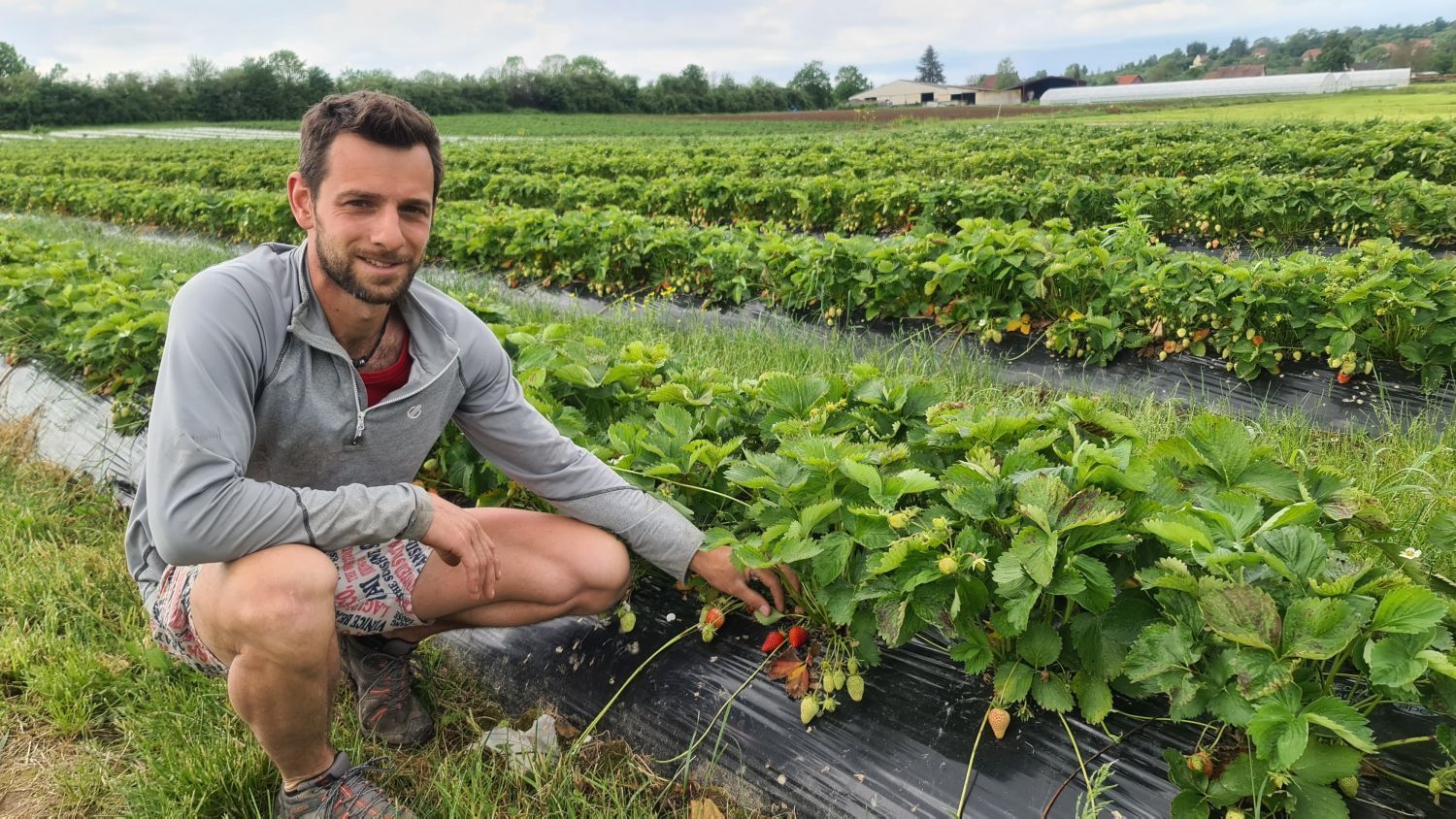 La ministre de l'Agriculture attendue à Niederstinzel ce jeudi